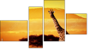 Фортык