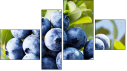 Фортык
