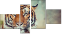 Фортык