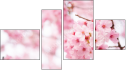 Фортык