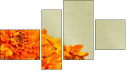 Фортык