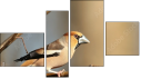 Фортык