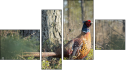 Фортык