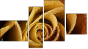 Фортык