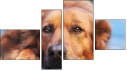 Фортык