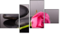 Фортык