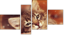 Фортык