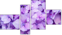 Фортык