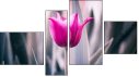 Фортык