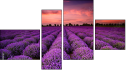 Фортык