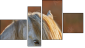 Фортык