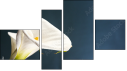 Фортык