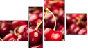 Фортык