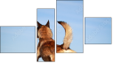 Фортык
