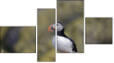Фортык