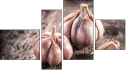 Фортык