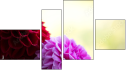 Фортык