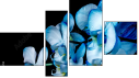 Фортык