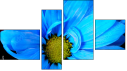 Фортык