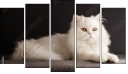 Пентаптих